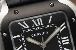cartier santos de cartier wssa0039 39.8mm replica cartier015