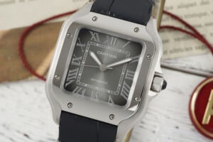cartier santos de cartier w2sa0065 39.8mm replica cartier014