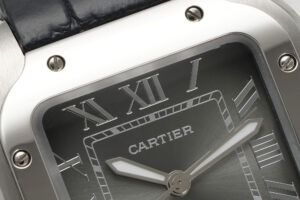 cartier santos de cartier w2sa0065 39.8mm replica cartier014
