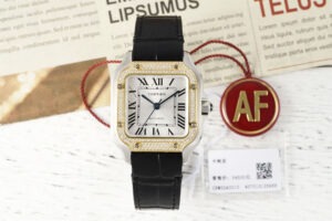 cartier santos de cartier wsn0010 35.1mm replica cartier013