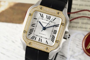 cartier santos de cartier wsn0010 35.1mm replica cartier013