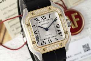 cartier santos de cartier wsn0010 35.1mm replica cartier013