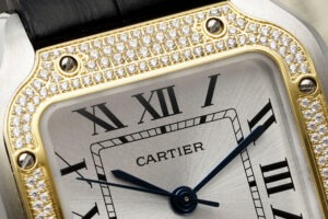cartier santos de cartier wsn0010 35.1mm replica cartier013