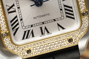 cartier santos de cartier wsn0010 35.1mm replica cartier013