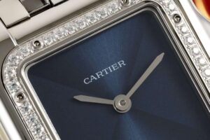 cartier panthère de cartier w4pn0013 22x30mm replica cartier028
