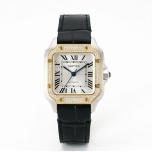 cartier santos de cartier wsn0010 35.1mm replica cartier013